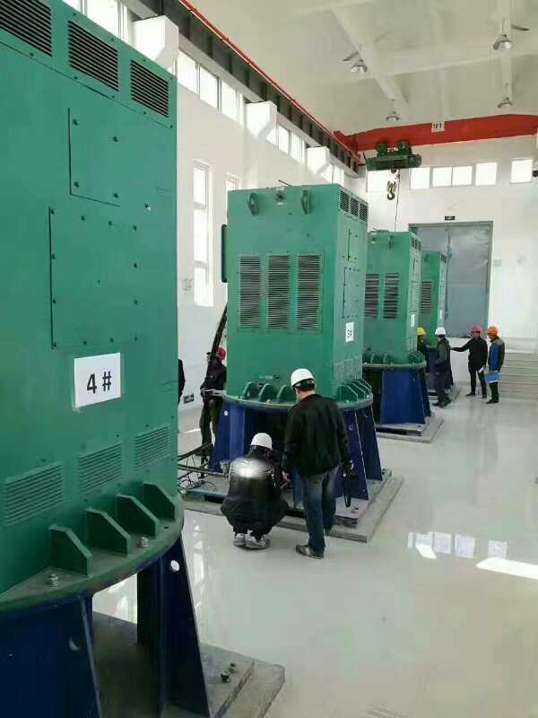 湘西某污水处理厂使用我厂的立式高压电机安装现场
